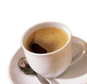 beli kopi luwak