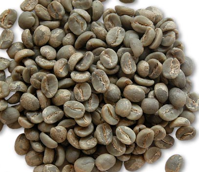 green bean kopi luwak