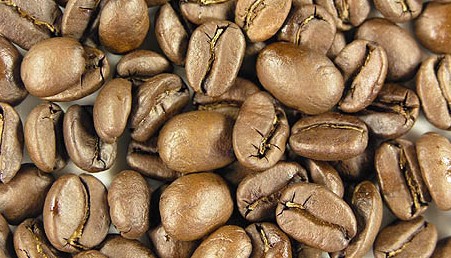 roasted bean kopi luwak